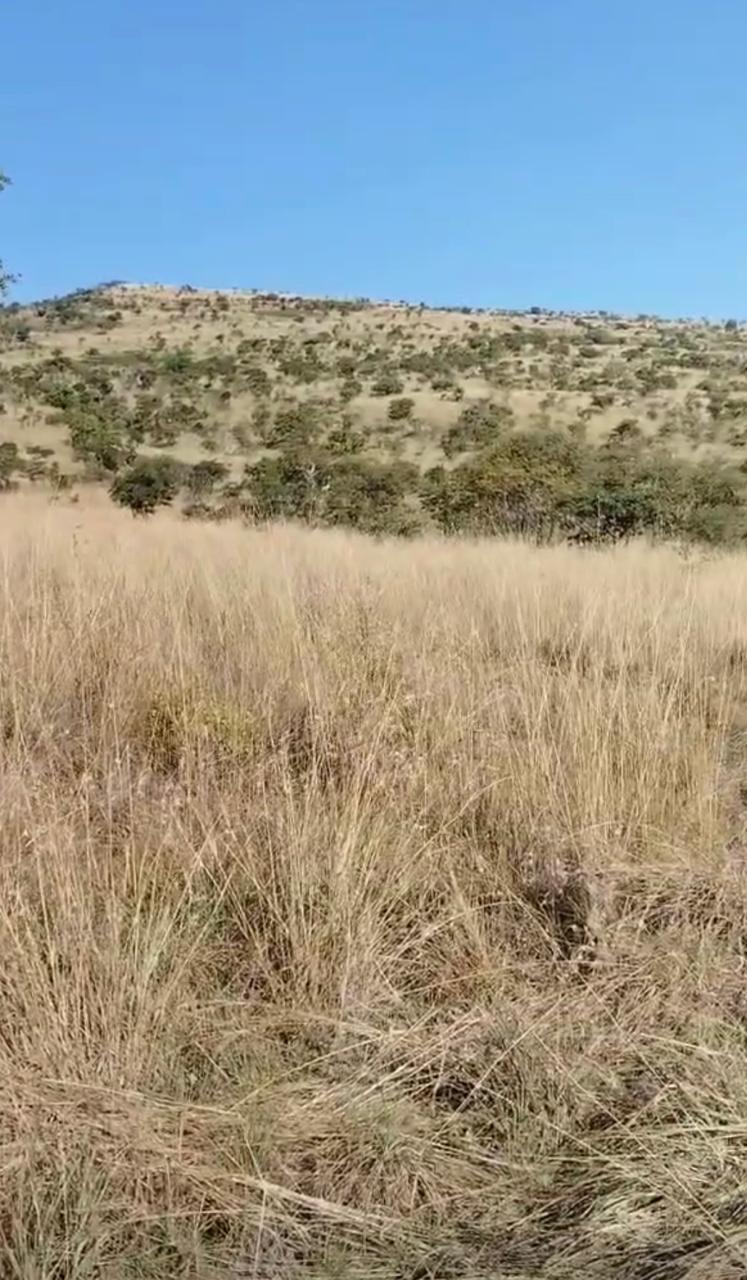 Commercial Property for Sale in De Rust North West
